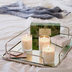 Load image into Gallery viewer, Roland Pine Votive Candle Set of 3