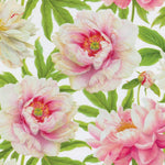 Load image into Gallery viewer, Blush Gift Wrapping Paper