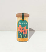 Load image into Gallery viewer, Winter Bulb Kit - Amaryllis