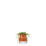 Load image into Gallery viewer, Wet Pot Systems Self-Watering Pots - Wanderlustre
