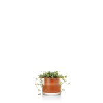 Load image into Gallery viewer, Wet Pot Systems Self-Watering Pots - Wanderlustre