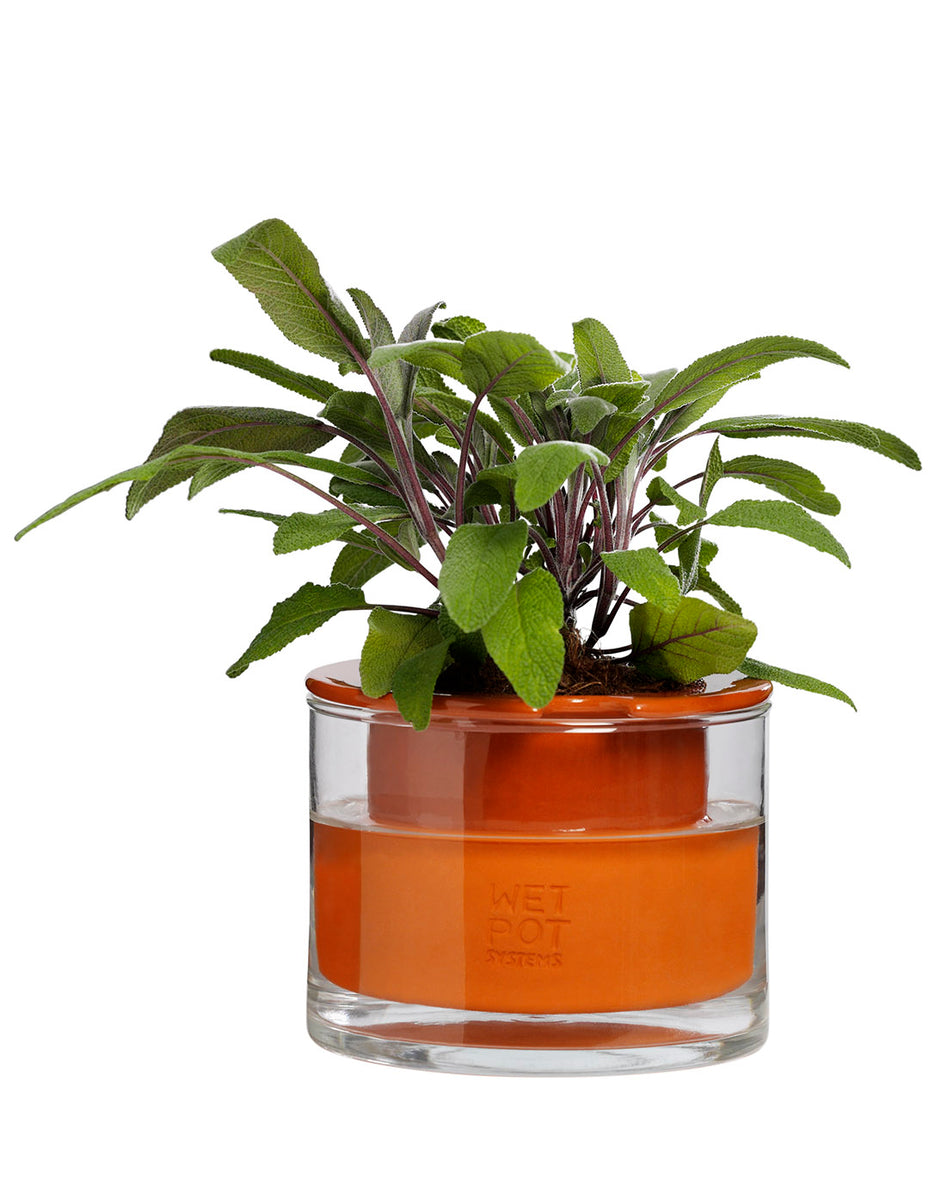 moma self watering planter Wet Pot Systems Self-Watering Pots