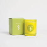 Load image into Gallery viewer, Halló Iceland Moss Candle - Wanderlustre
