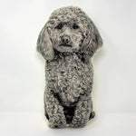 Load image into Gallery viewer, Broderpress Dog Pillows
