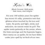 Load image into Gallery viewer, Austin Press Sanctum Candle - Spider&#39;s Web - Wanderlustre
