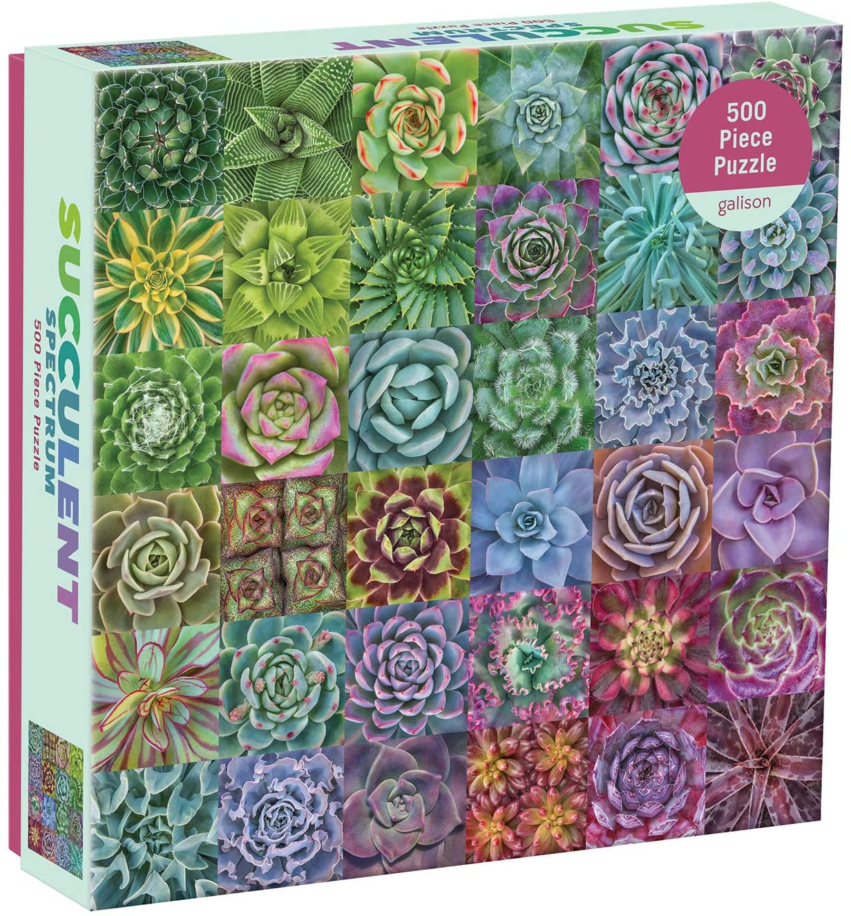 Succulent Spectrum 500-Piece Puzzle