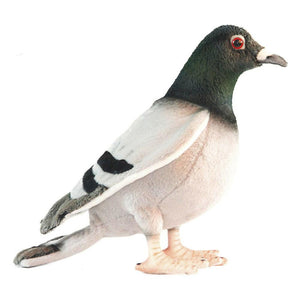 Pigeon by Hansa - Wanderlustre
