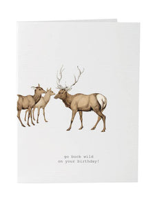 Go Buck Wild Birthday Card