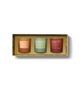 Boys Smells Holiday Votive Candle Set