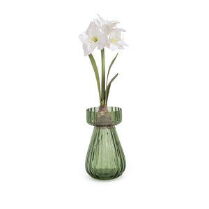 Bulb Vase - Green
