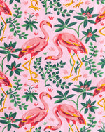 Load image into Gallery viewer, Flock of Flamingos Long Sleep Set - Rose
