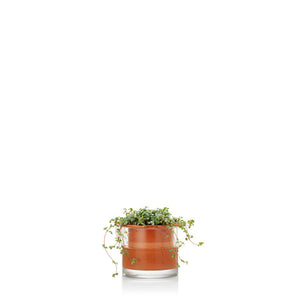 moma self watering planter Wet Pot Systems Self-Watering Pots