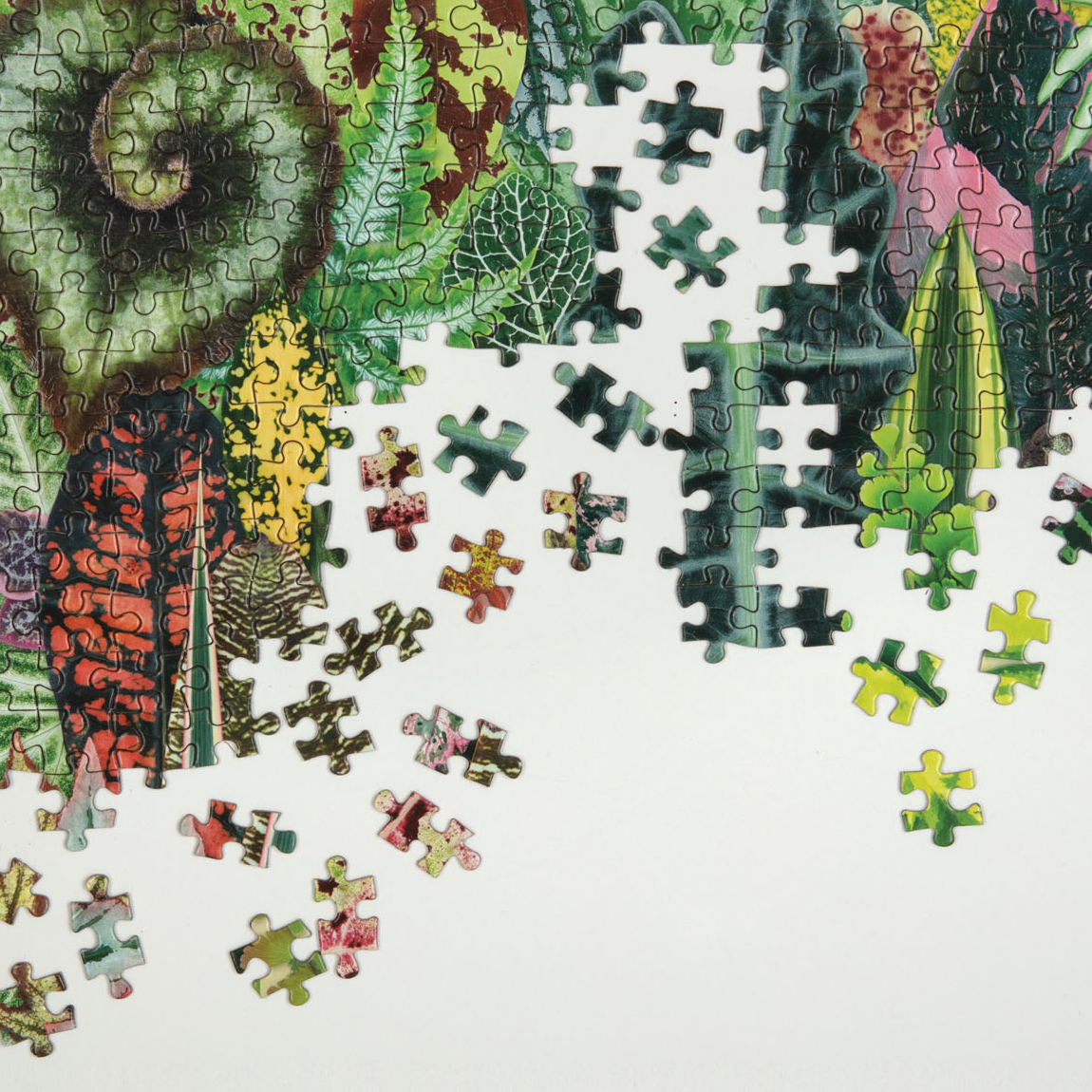 Houseplant Jungle 1000-Piece Jigsaw Puzzle