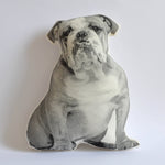 Load image into Gallery viewer, Broderpress Dog Pillows - Wanderlustre
